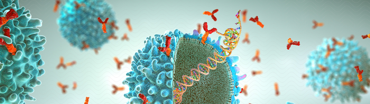 C.B.3D | Christoph Burgstedt | MED MRNA