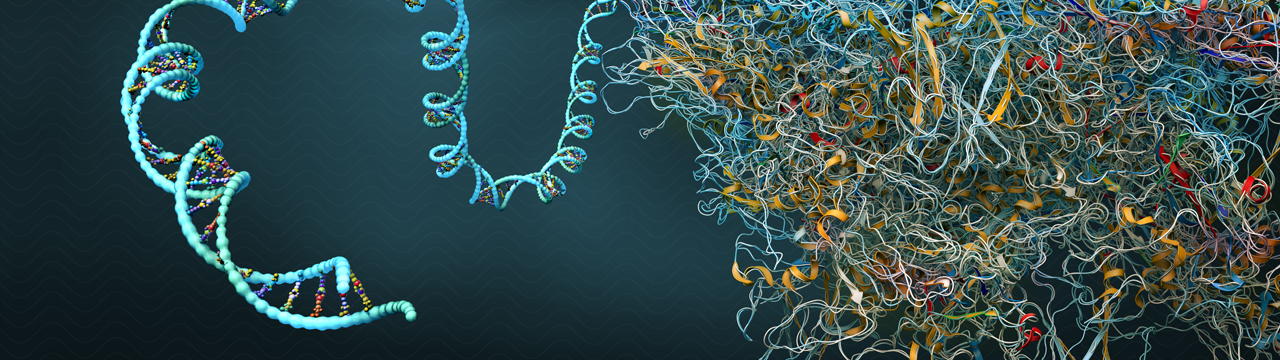 C.B.3D | Christoph Burgstedt | MED MRNA