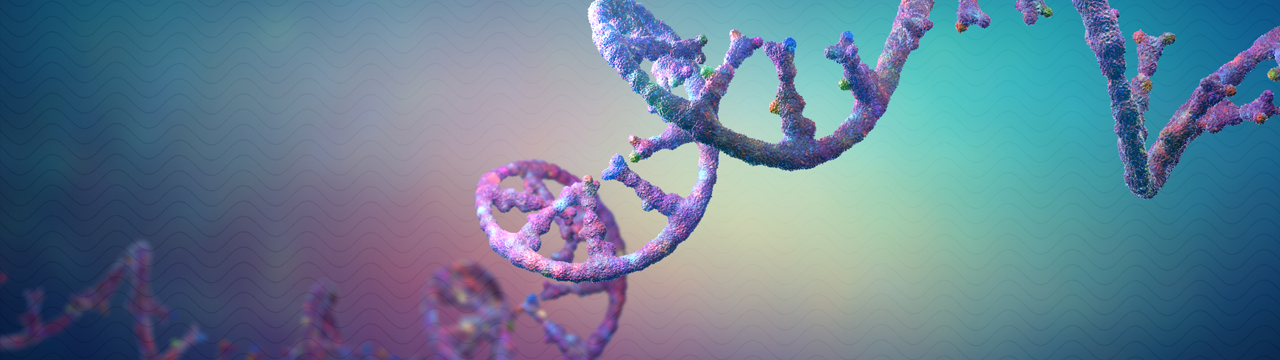 C.B.3D | Christoph Burgstedt | MED MRNA