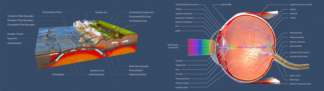 C.B.3D | Christoph Burgstedt | CROSS SECTIONS